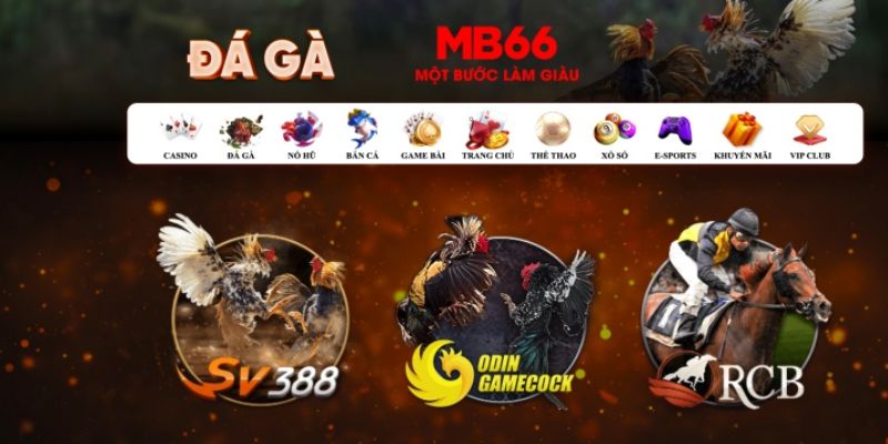 zbet what is casino bonus wagering