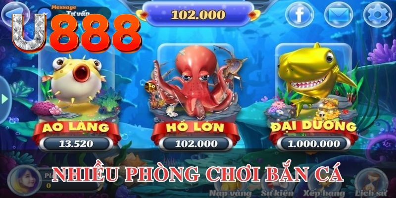 zbet cá cược là gì