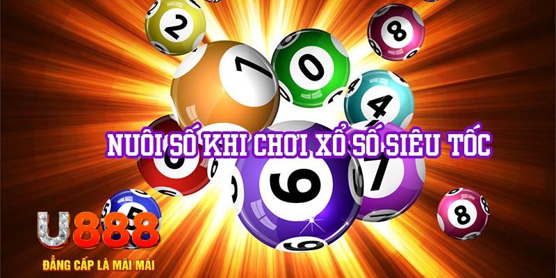 zbet nổ hũ neko may mắn