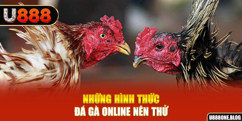 zbet nổ hũ ai là gì