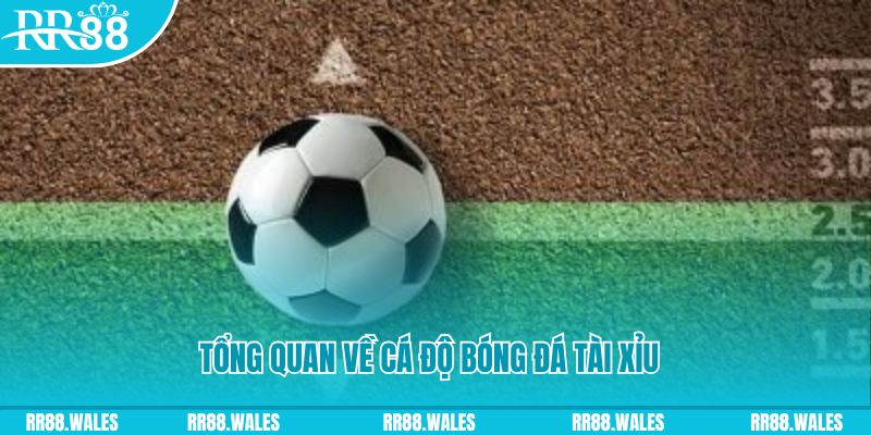 zbet đăng nhập roulette online