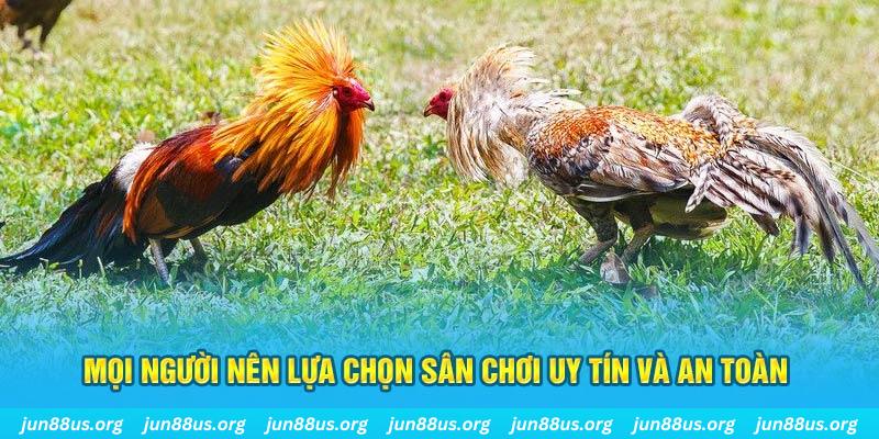 zbet Cỡ bảy