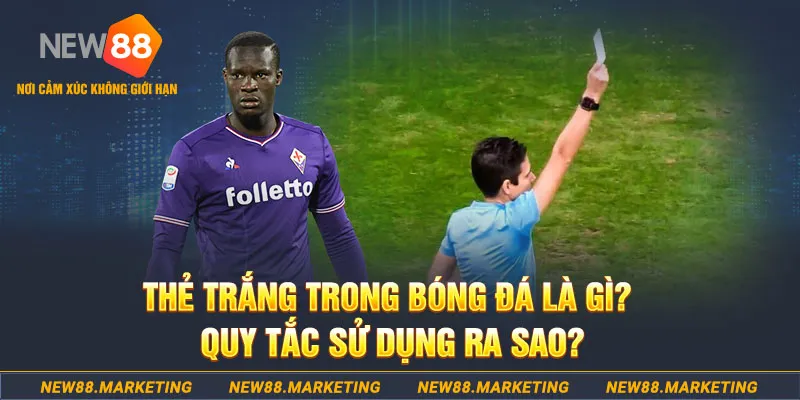zbet đăng nhập sòng bạc hôm nay