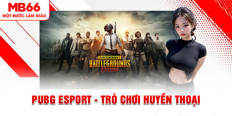 zbet casino online là gì