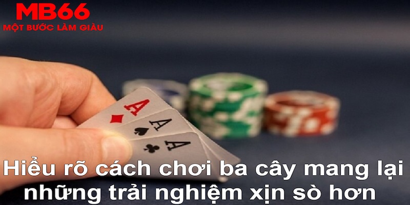 zbet ÁT CHỦ MÁY HOA QUẢ THẦN TÀI