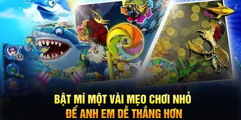 zbet xổ số thứ ba