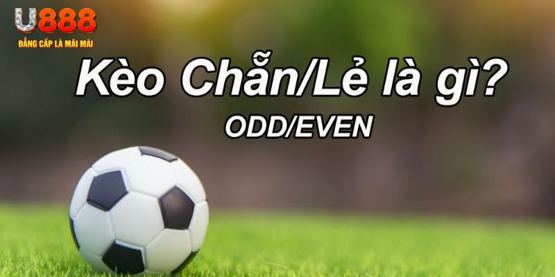 zbet đăng nhập sòng bạc 2024