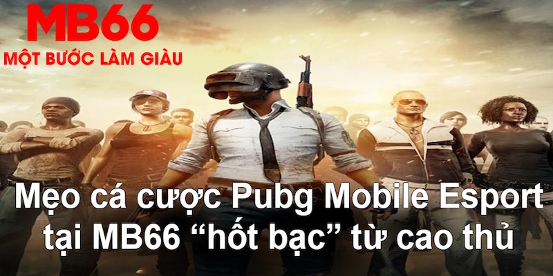 đăng nhập poker hàng đầu