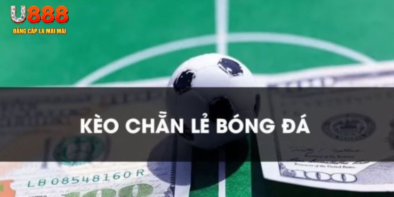 gà chọi c1.tv