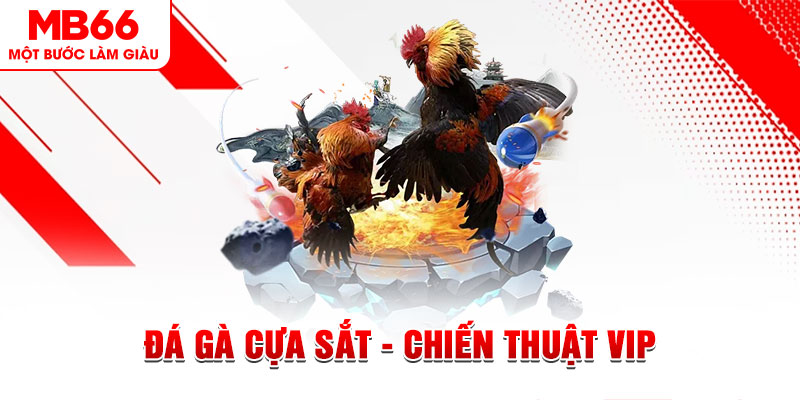 zbet ai tool nổ hũ